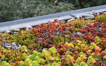 the cost of Higher Hogshead green roof installation