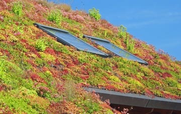 Higher Hogshead living roof systems