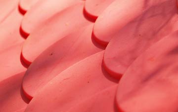 Higher Hogshead plastic roof costs